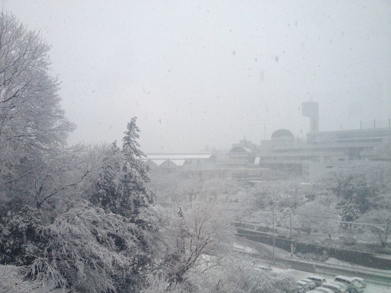 Snowy day. February 29, 2012. 9:02am